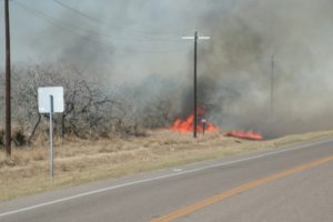 Staff Stories: Wildfire Containment