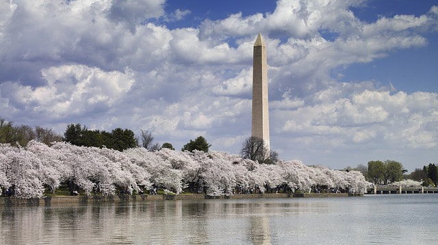 Remote Medical International Washington DC Office