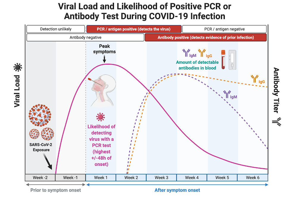 Viral Load and Likelihood blog chart.